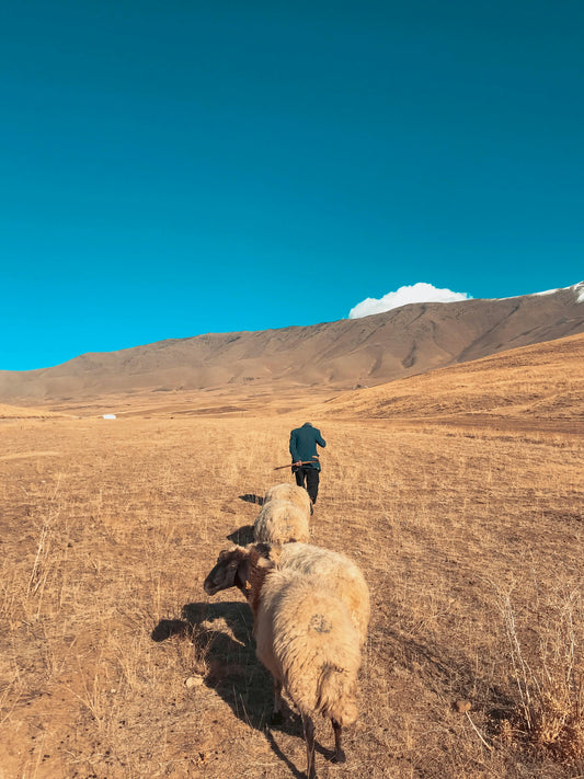 God’s Loving Discipline: A Father Who Does Not Let His Children Run Wild